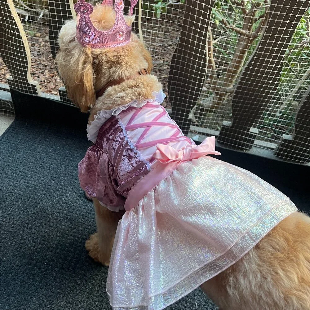 EUC Ministry of Rascals Pet Princess Dog Costume, Pink Dress with Tiara, Large